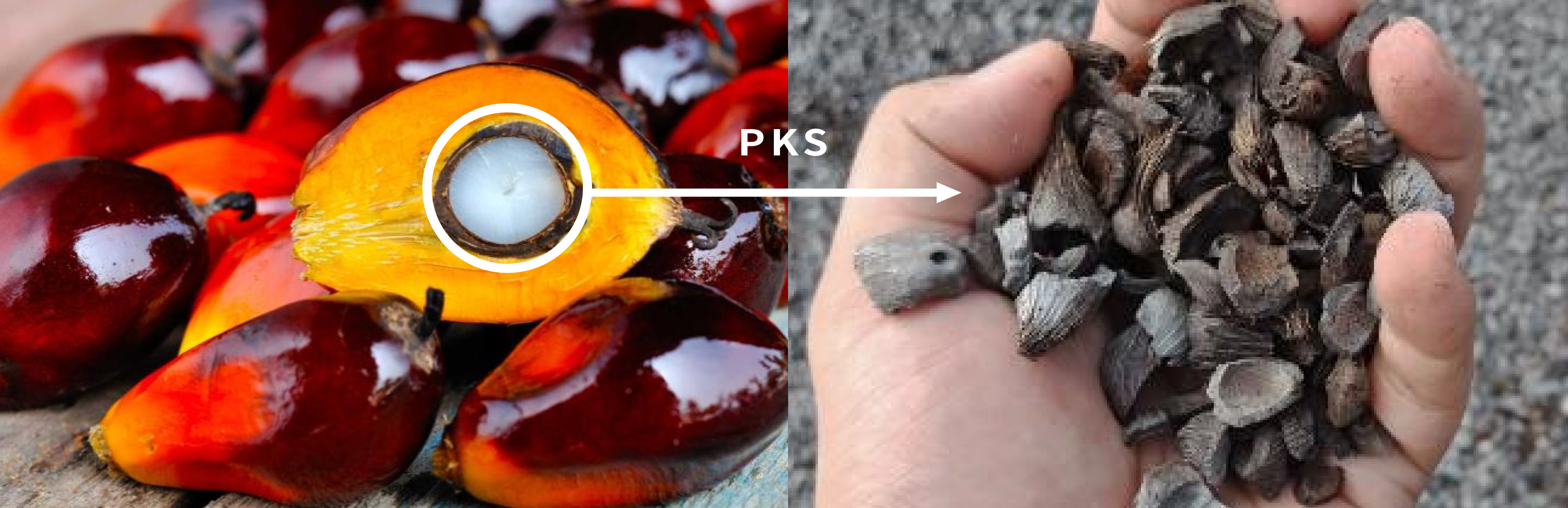 PKSはアブラヤシの果実からパーム油を抽出した後に残る、種子の外殻部分を指します。
